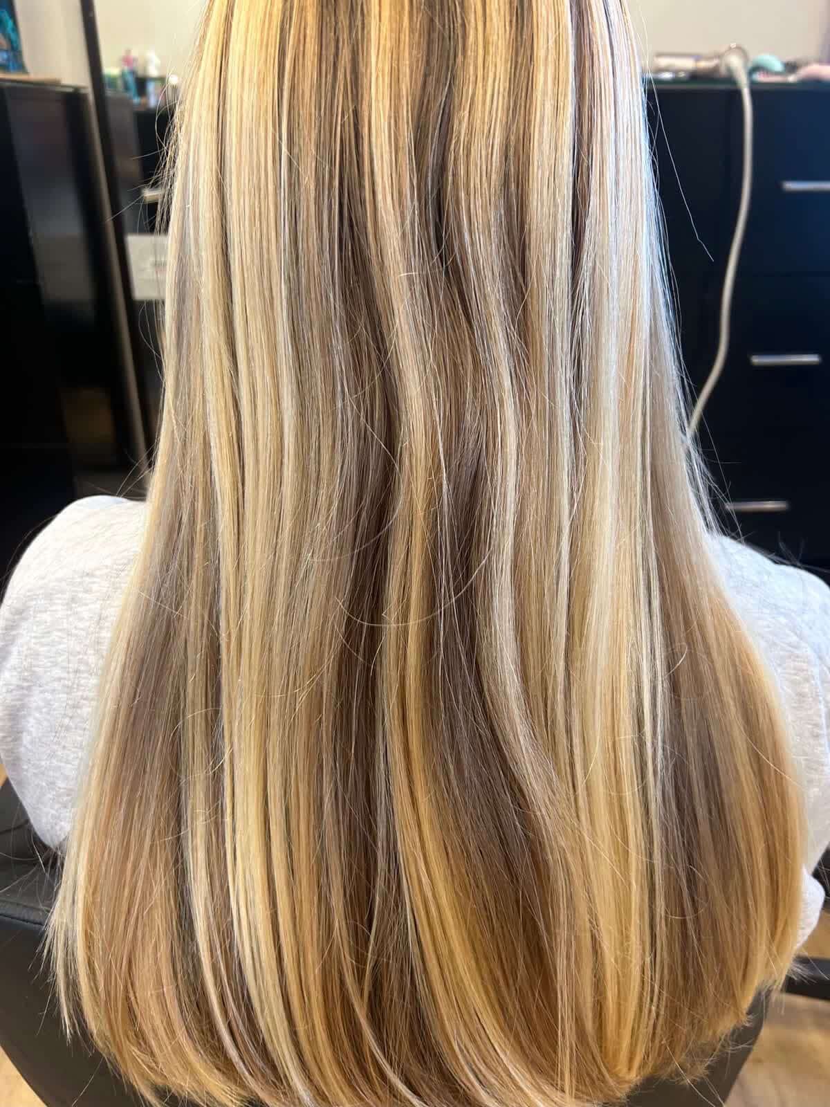 Before Image: Hair Color - back