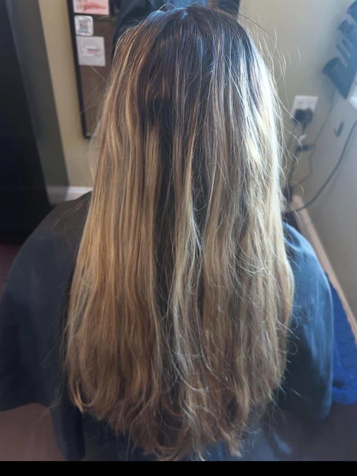 Before Image: Hair Color - back