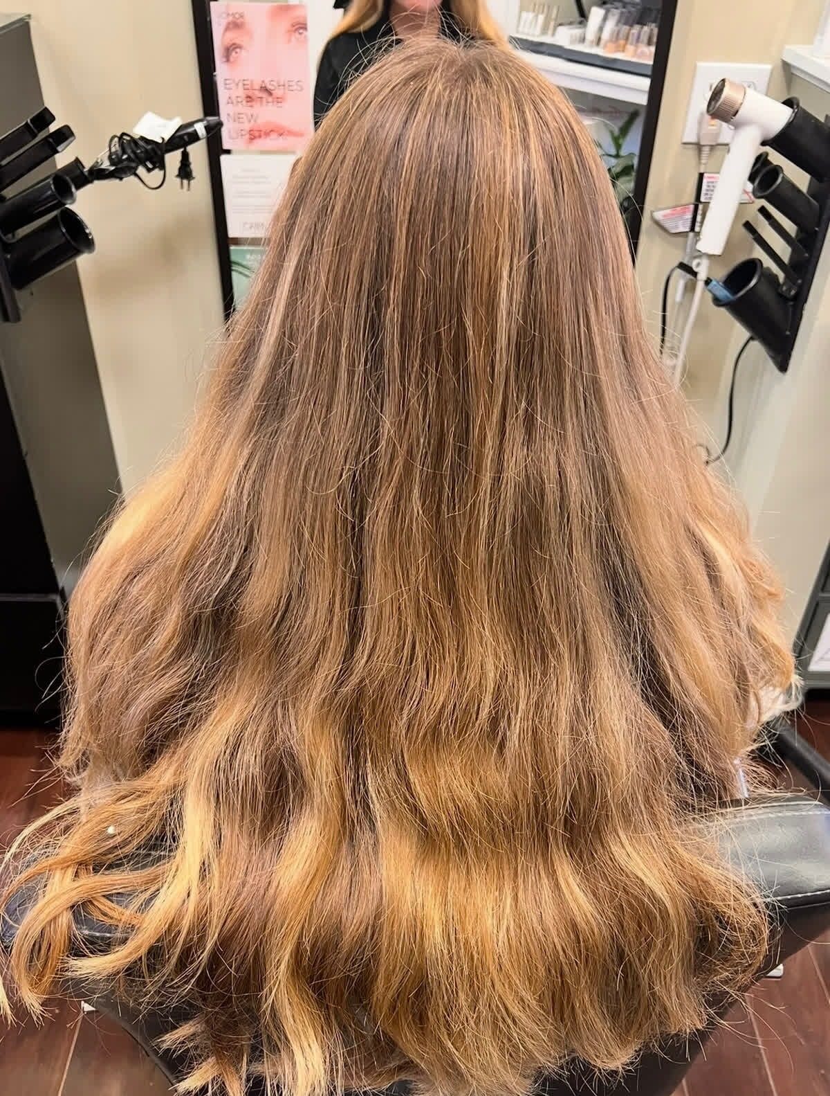 Before Image: Hair Color - back